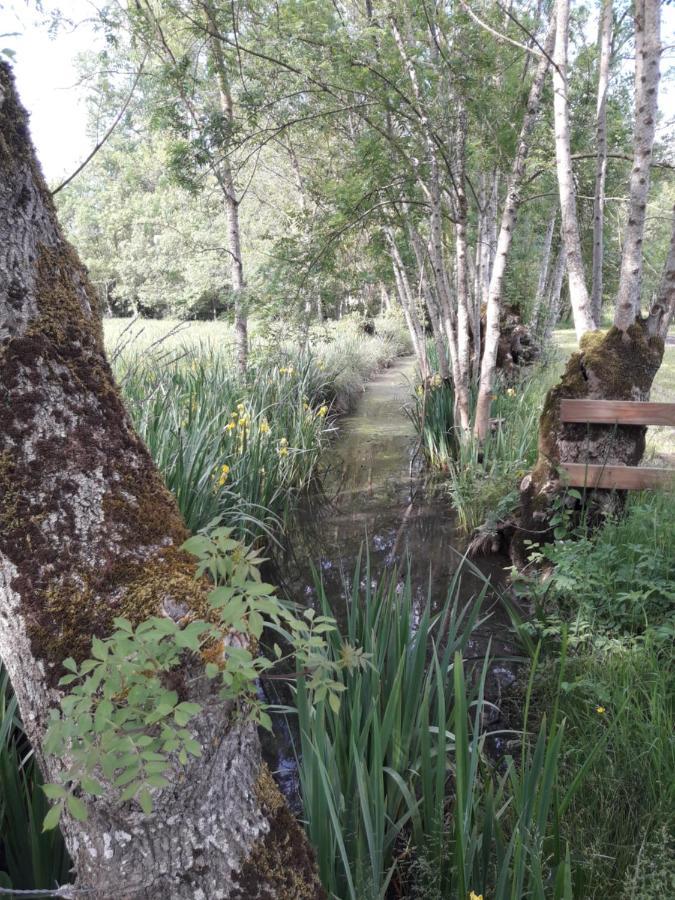 Le Logis De Lange Apt Les Aigrettes Saint-Hilaire-la-Palud エクステリア 写真