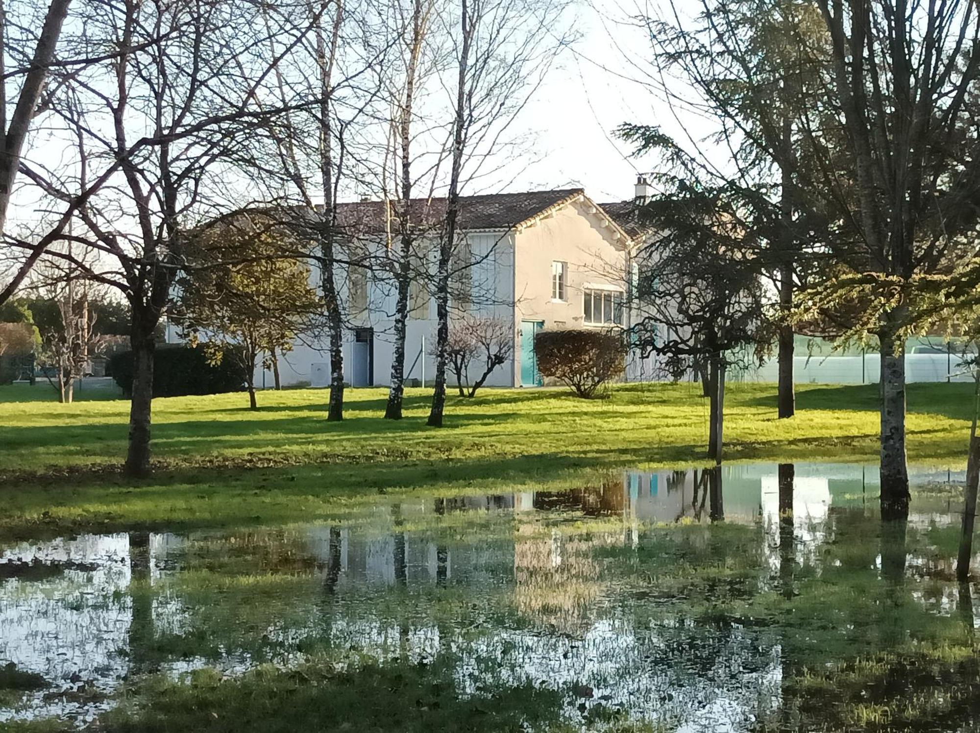 Le Logis De Lange Apt Les Aigrettes Saint-Hilaire-la-Palud エクステリア 写真