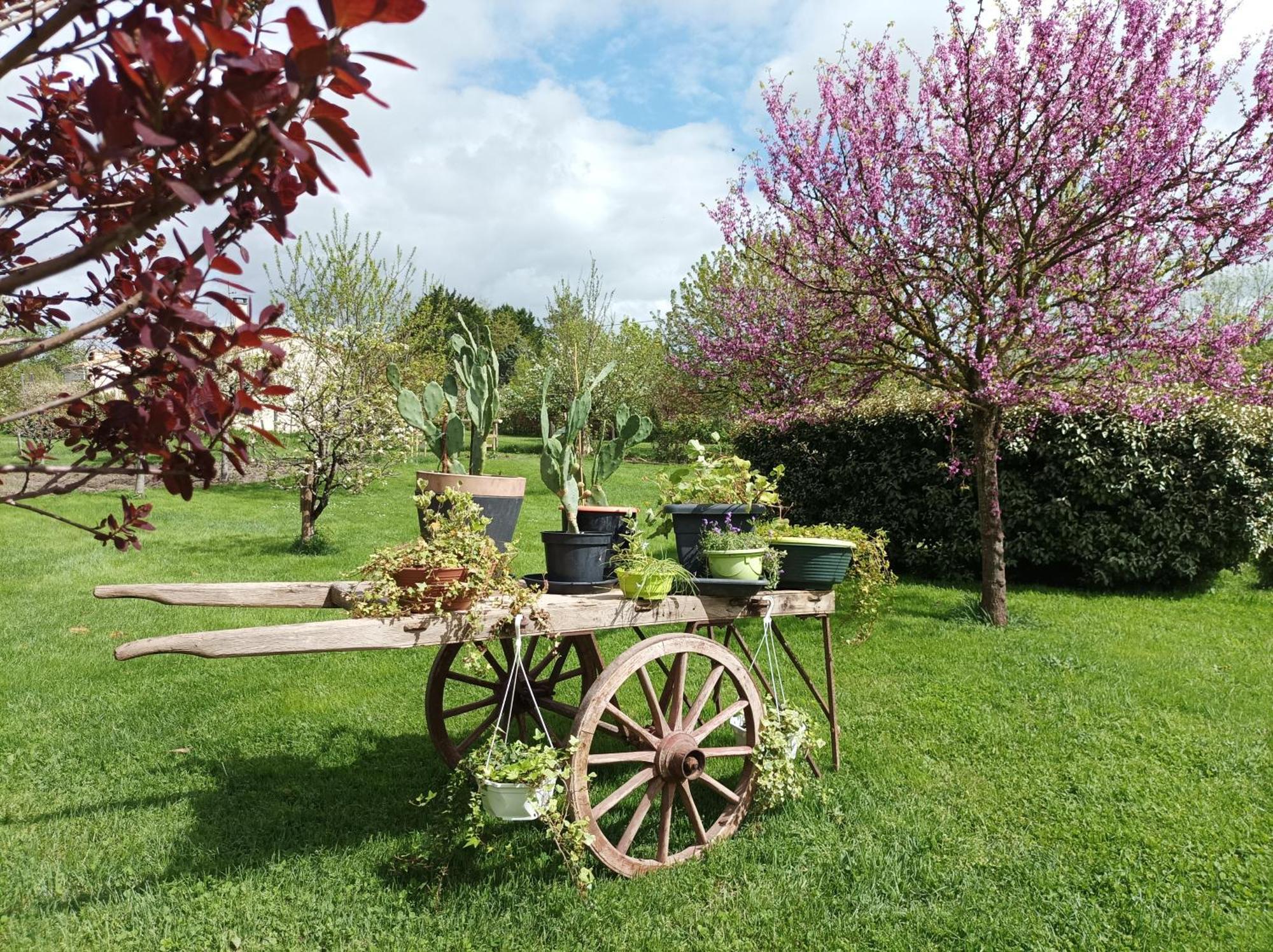 Le Logis De Lange Apt Les Aigrettes Saint-Hilaire-la-Palud エクステリア 写真