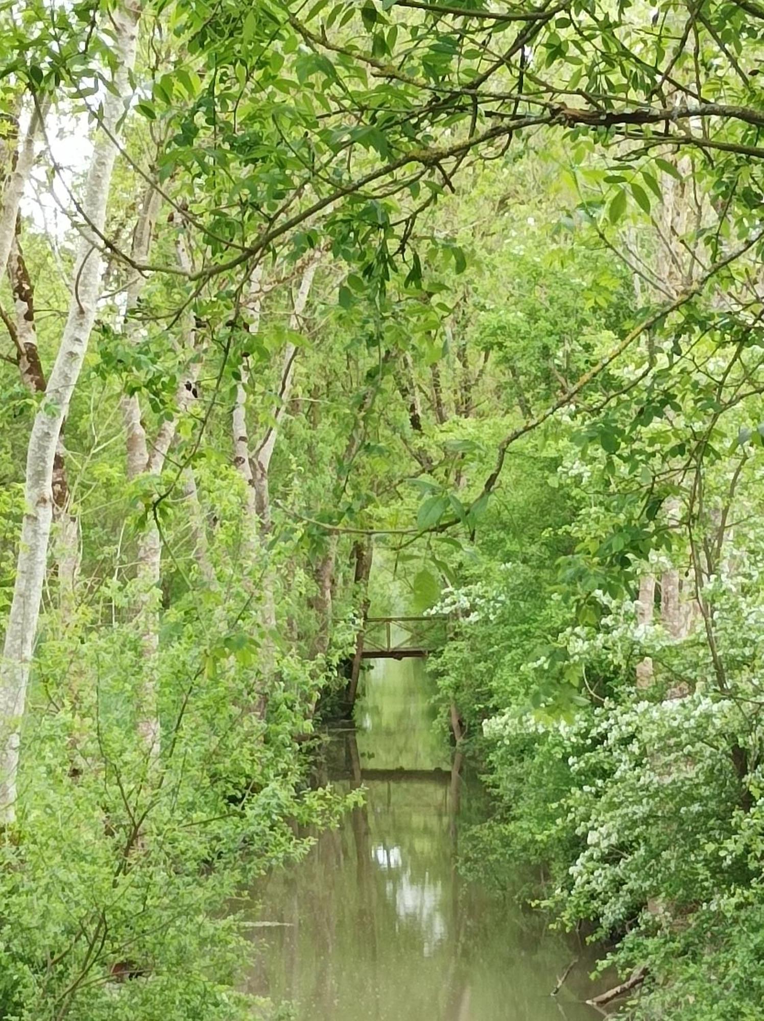 Le Logis De Lange Apt Les Aigrettes Saint-Hilaire-la-Palud エクステリア 写真