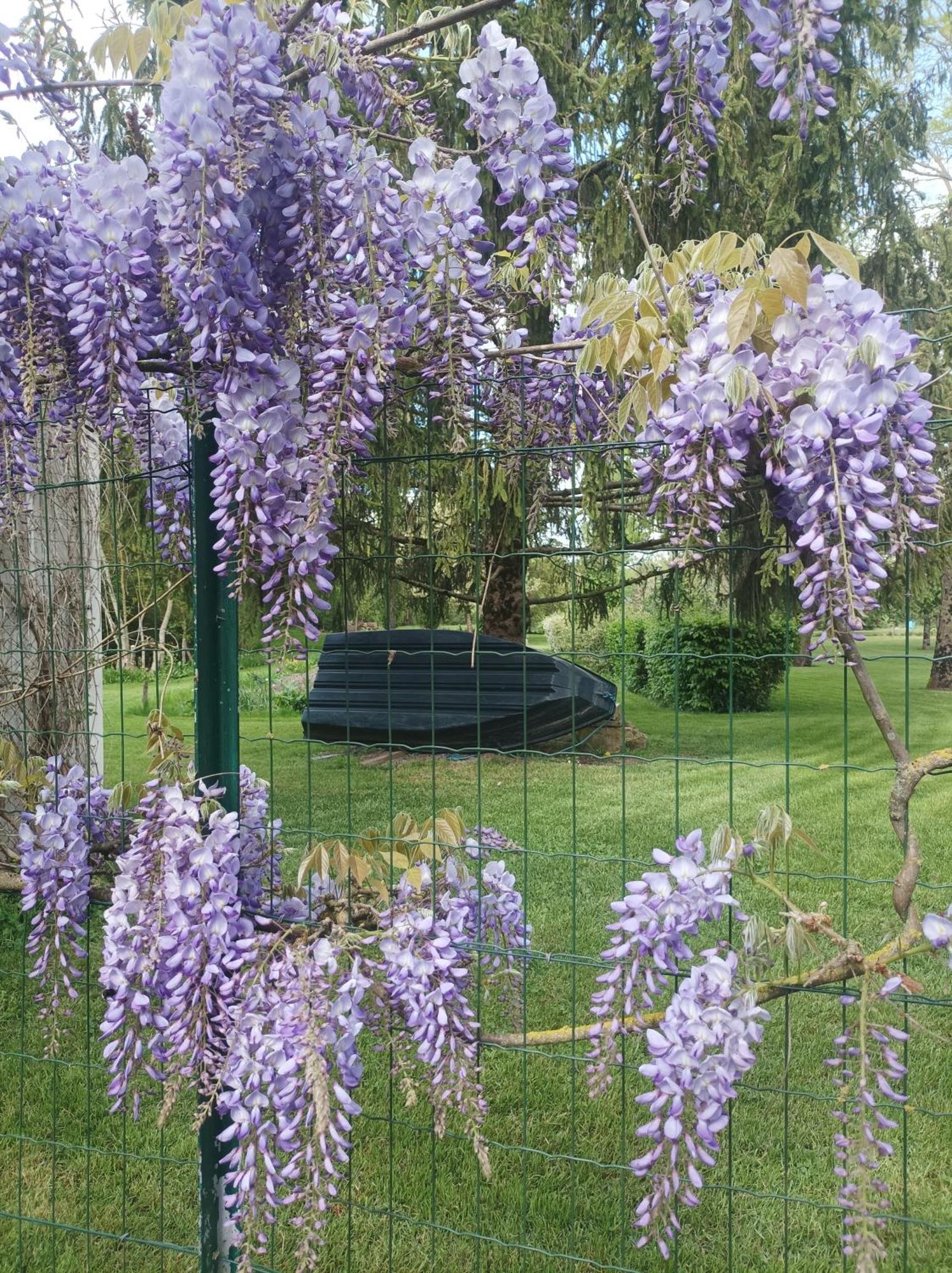 Le Logis De Lange Apt Les Aigrettes Saint-Hilaire-la-Palud エクステリア 写真